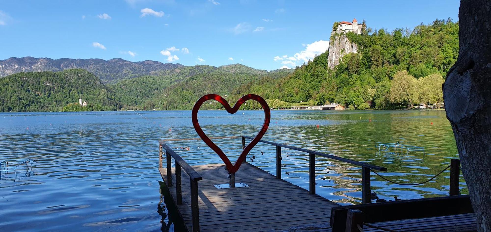 Apartma Jezerci Apartment Bled Bilik gambar
